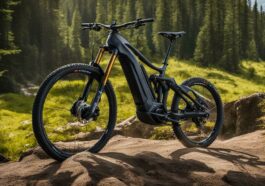 Giant Stance E+ 1 cold iron Modell 2023 Review