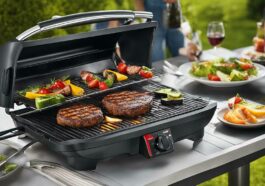 Severin PG 8541 Review